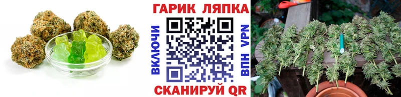 МЕГА онион  Пушкино  Canna-Cookies конопля 
