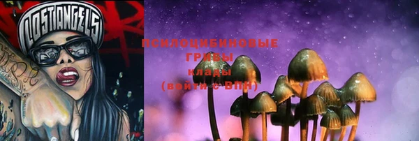 ешки Каменка