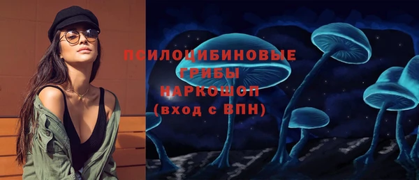 прущие грибы Медногорск
