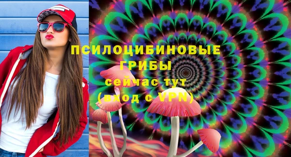 ПСИЛОЦИБИНОВЫЕ ГРИБЫ Алзамай