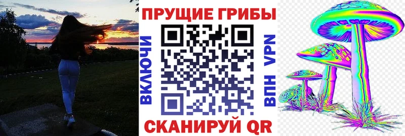 Галлюциногенные грибы прущие грибы  Пушкино 