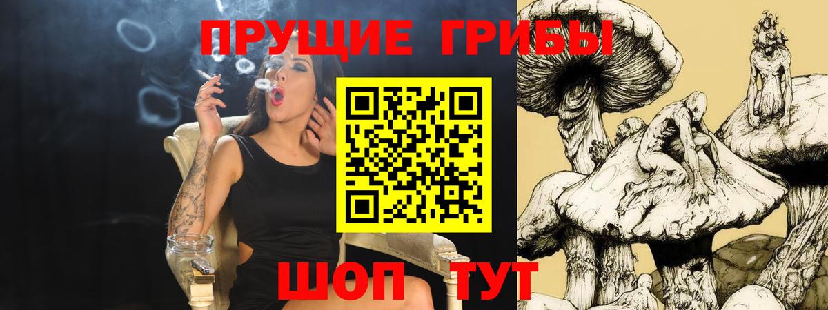 Пушкино  Псилоцибиновые грибы Magic Shrooms  Вход с VPN 