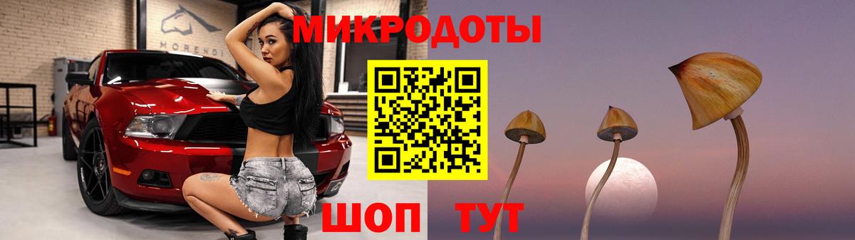Псилоцибиновые грибы Magic Shrooms Пушкино