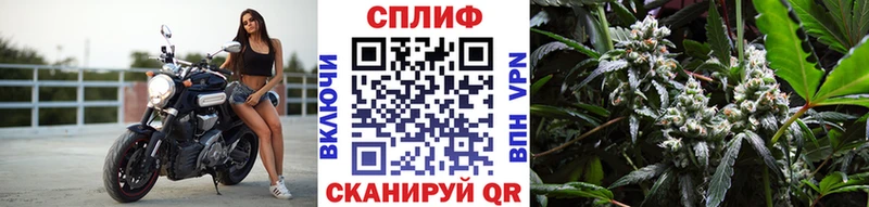 Конопля ГИДРОПОН  Пушкино 